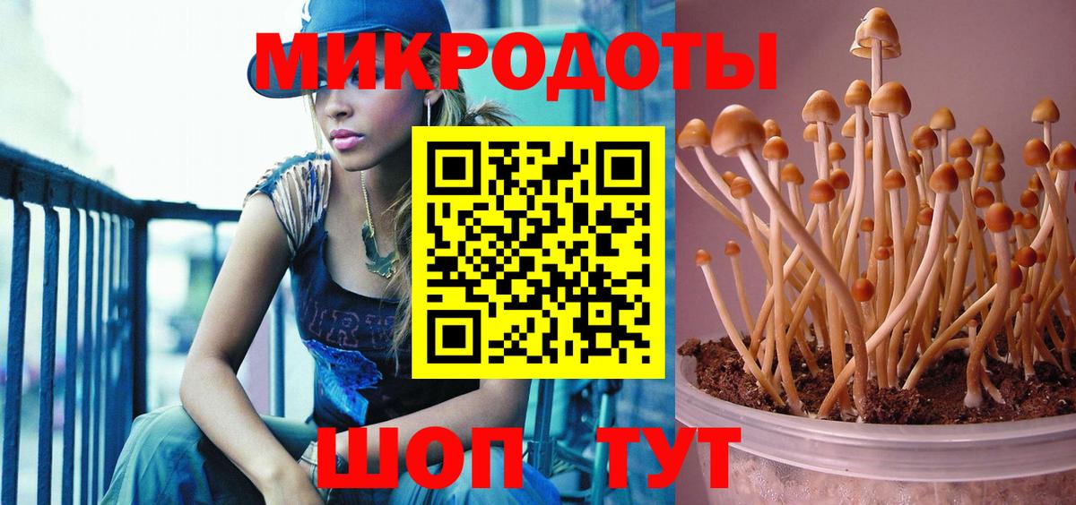 Когалым  закладки  Вход с VPN  Псилоцибиновые грибы ЛСД 